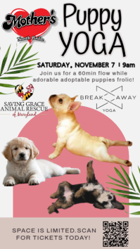 Puppy Yoga at Mother's North