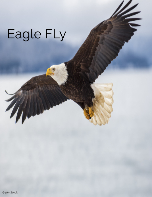 Eagle Flyer (US Letter) template