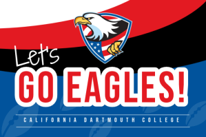 Eagles Sports Flag Drapeau template