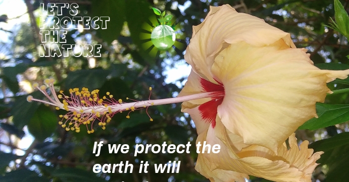 Flap lift printables freebie lapbook primarythemepark atividades educazione scienze geografia organizadores latitude longitude giorno ambientale organizador escolares ideias scientifiche interactivos Earth Template | PosterMyWall