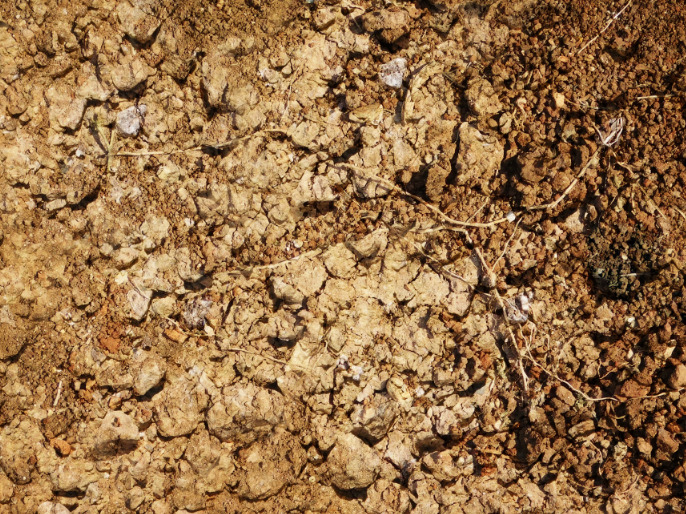 Earth texture Pagtatanghal template