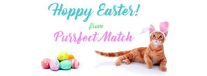 白色 Easter Celebration Zdjęcie w tle na Facebooka Template