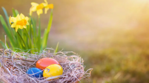 Easter zoom background Apresentação (16:9) template