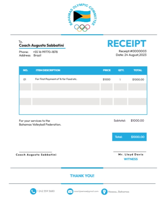 Copy of Volleyball Invoice (1) | PosterMyWall
