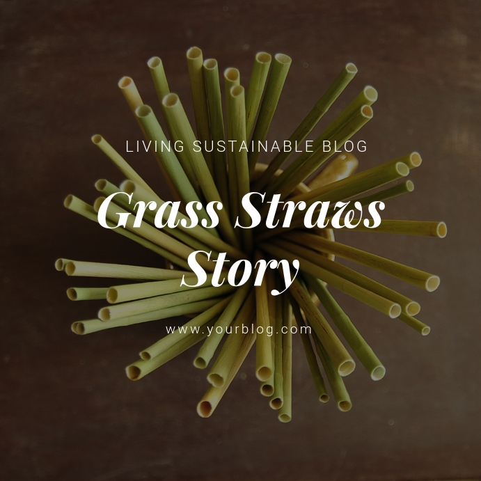 Eco-friendly grass straws for Instagram Post Instagram-bericht template