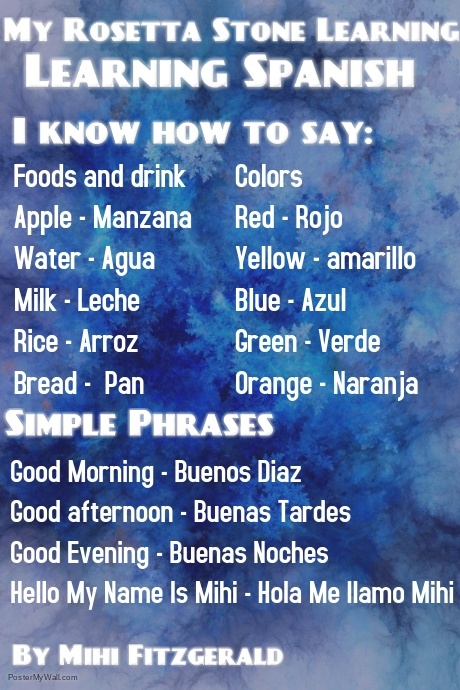 My Rosetta Stone Learing