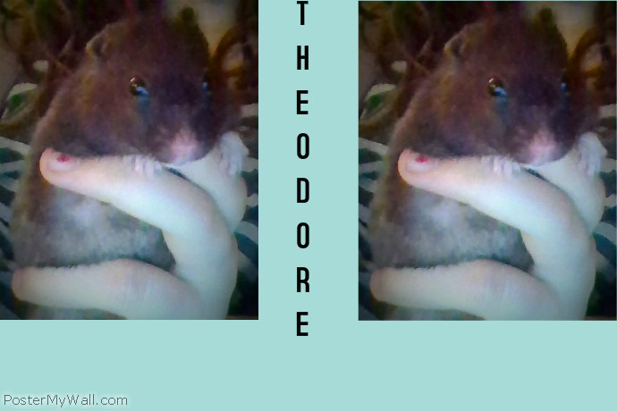 Copy of Theodore!! RIP | PosterMyWall