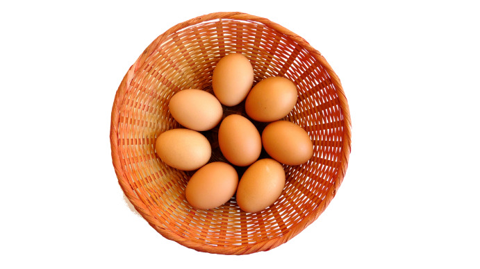 Egg Digital Display (16:9) template