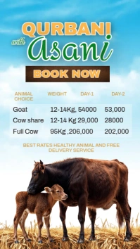 Eid Ul Adha Instagram Story Instagram-Story template