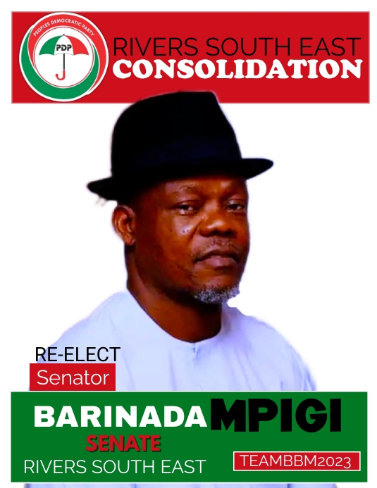 ELECTION Pamflet (VSA Brief) template