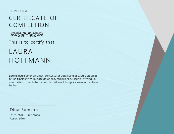 Elegant Certificate Card Template Pamflet (VSA Brief)