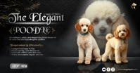 Elegant Dog Adoption Facebook Shared Image template