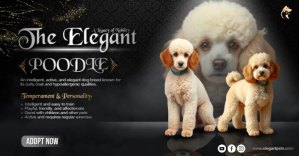 Elegant Dog Adoption Facebook Shared Image template
