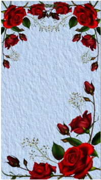 Elegant Red Rose Floral Photo Frame Template Instagram Story