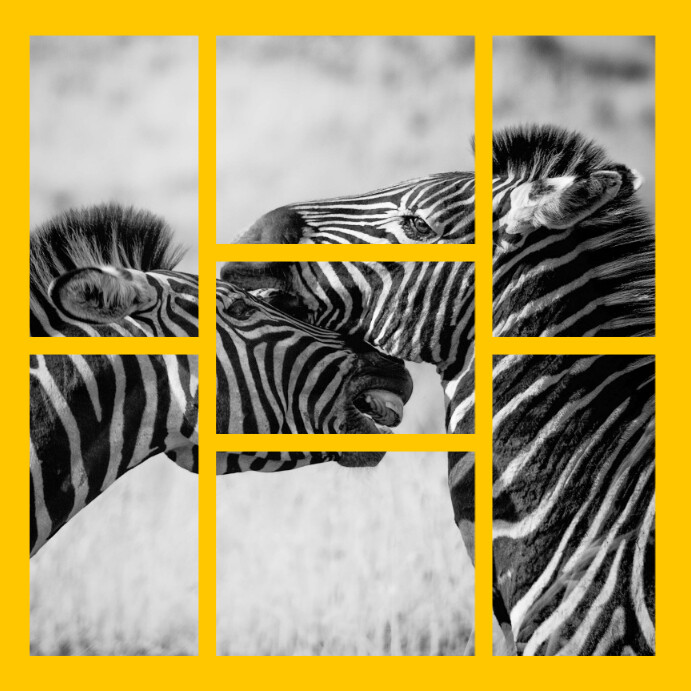Elegant wall photo gallery mood board Publicação no Instagram template