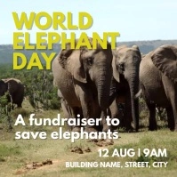 Elephant awareness Day Square (1:1) template