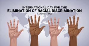 Elimination of Racial Discrimination Template Изображение, которым поделились на Facebook
