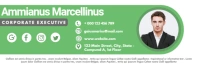 email digital signature green shades white an template