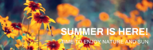 橙色 Summer Announcement Email Header Template