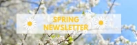 Email Header For Spring Newsletter Template 电子邮件标题