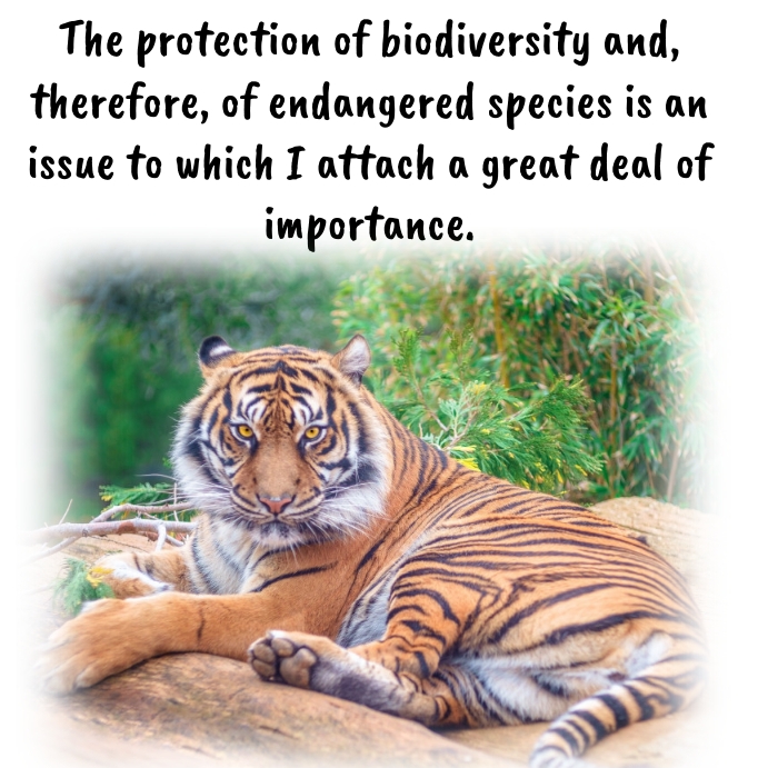 Endangered Species day, biodiversity Instagram Post template