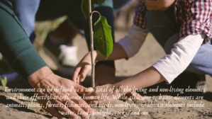 Environment and tree YouTube-miniature template
