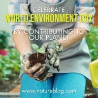environment day Instagram Post template