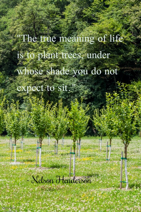Environment Poster template
