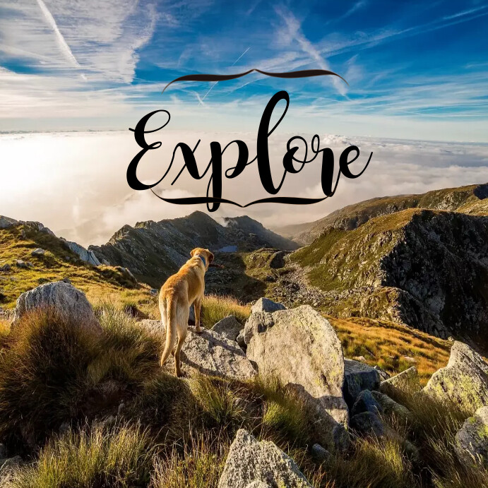 Exploring Posts Explore Template | PosterMyWall