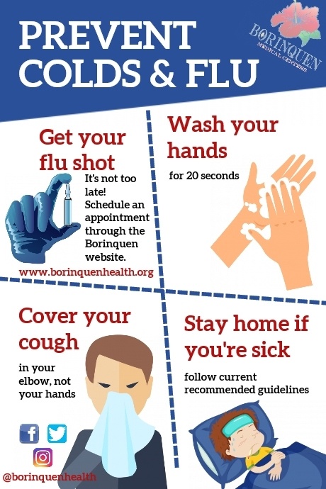 BMC Colds & Flu Poster template