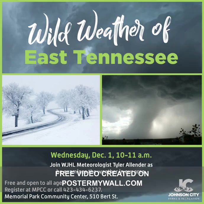 Copy of Wild Weather | PosterMyWall