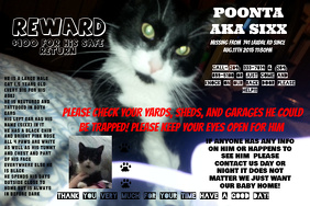 missing pet flyer template