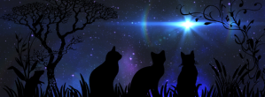 黑色 Night Sky Zdjęcie w tle na Facebooka Template