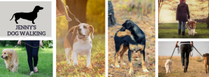 Facebook Cover Dog Walking Services Template