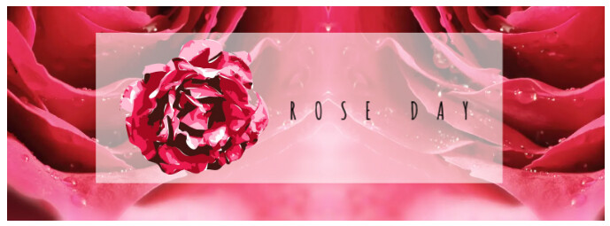 Facebook Cover Photo With Rose