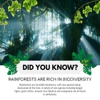 Facts About Rainforest Publicación de Instagram template