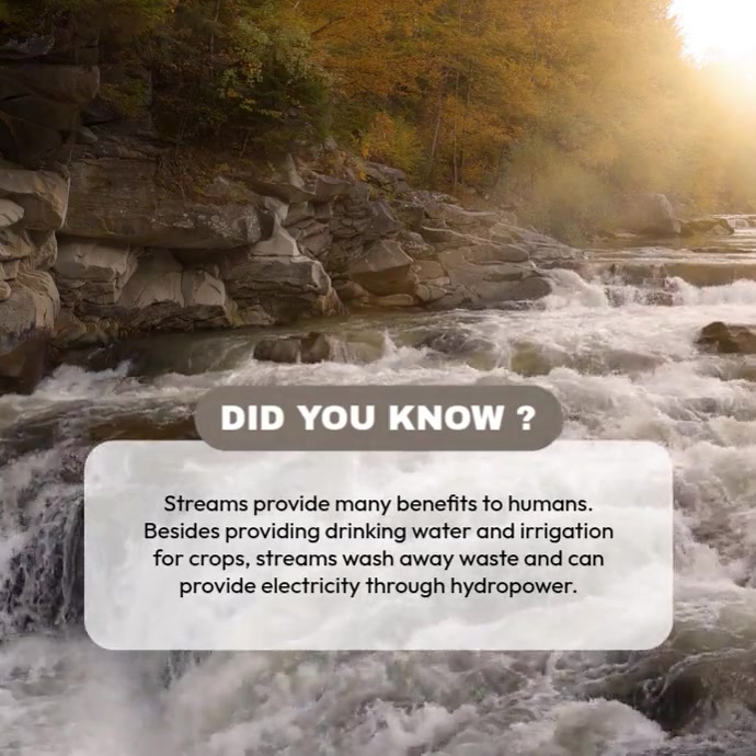 Facts About Streams Template | PosterMyWall