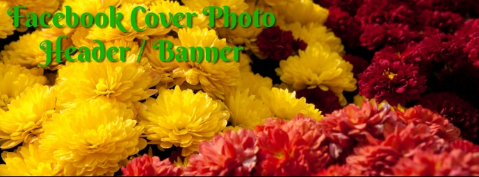 Copy of Fall Flowers Facebook Header | PosterMyWall