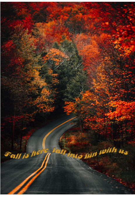 Fall Poster Template | PosterMyWall
