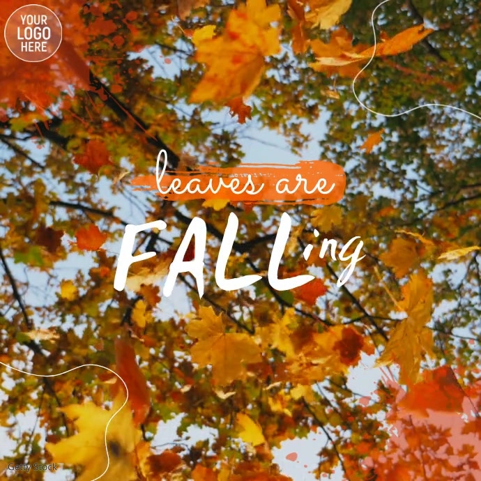 Copy of Fall Square Video Ad | PosterMyWall