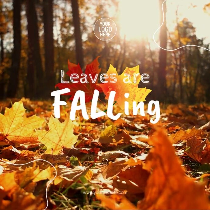 Fall Square Video Social Media Template | PosterMyWall