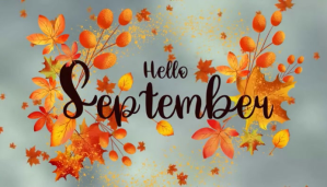 Grey Fall Template Blog-Kopfzeile