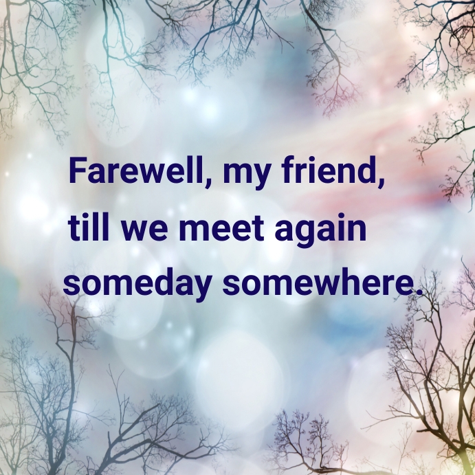 Goodbye My Friend Quotes