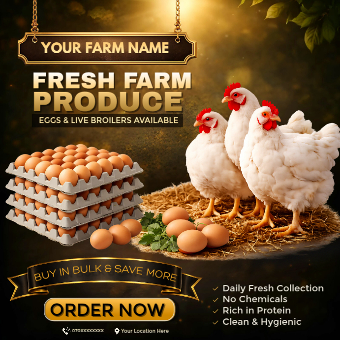 Plantilla de Farm Fresh Eggs & Live Broiler Chickens Flyer | Organic ...