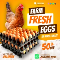 Farm Fresh organic eggs for sale wholesale advertisement flyer poster template design social media
