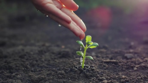 Farmer & Plant YouTube Channel Cover Photo template
