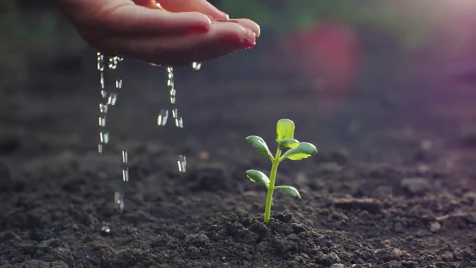 Farmer & Plant YouTube Channel Cover Photo template