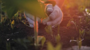 Farmer & Plant Coverfoto til YouTube-kanal template