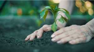 Farmer planting saplings YouTube-miniature template