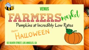 Farmers Market, Pumpkin Sale Ecrã digital (16:9) template